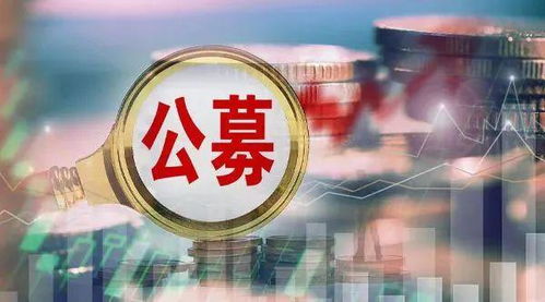 尴尬流拍 公募基金股权“香饽饽”为何没人啃？